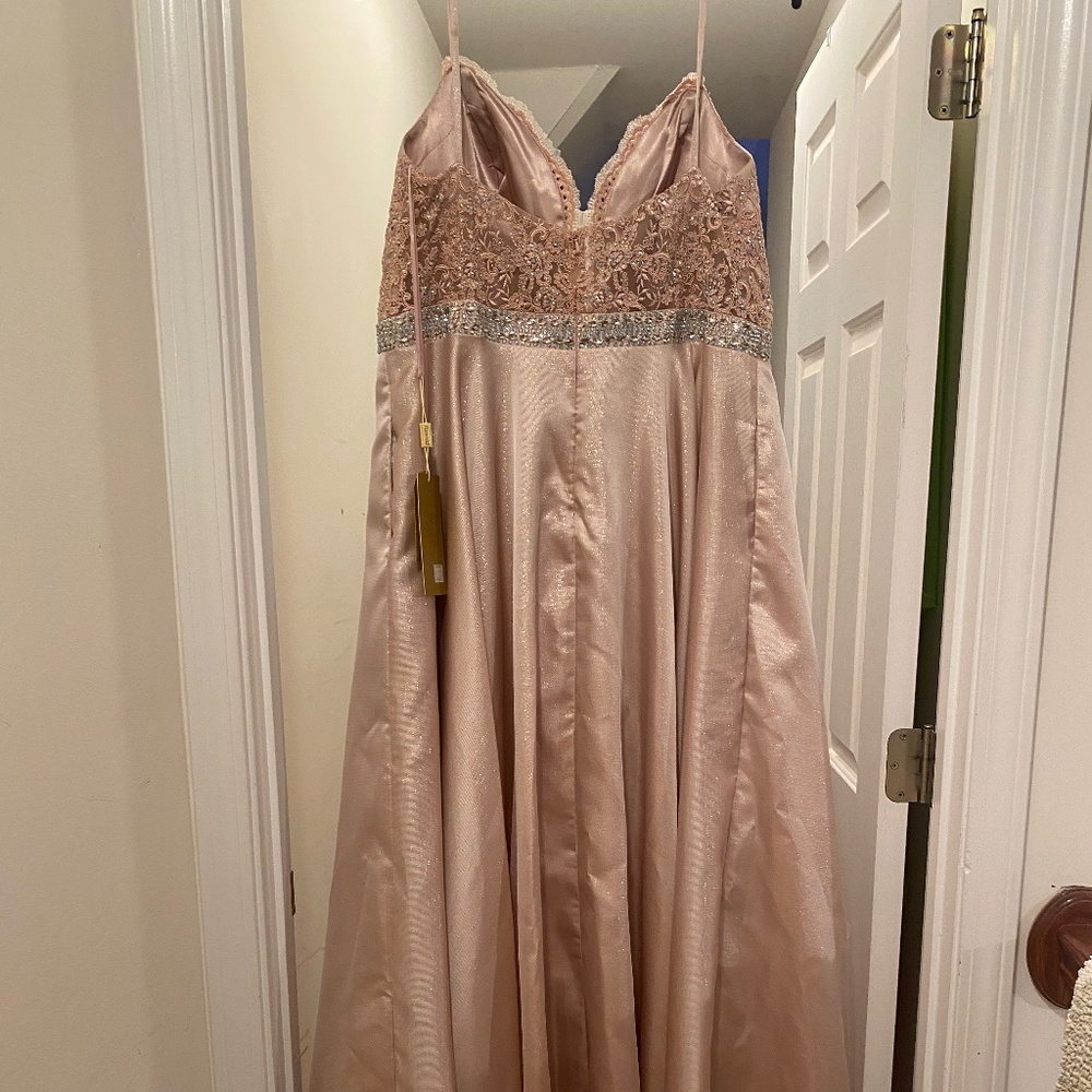 Rose gold Brand New Gown